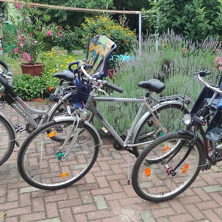 Ferienwohnung Am Olbasee Malschwitz Екстер'єр фото
